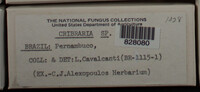 Image Associated With the Occurence